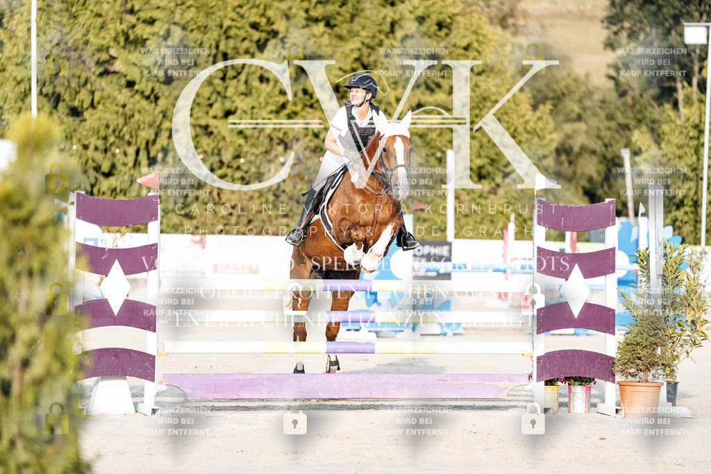 CK900689 | Turnierfotografie Pferdefotografie Trier Rheinland-Pfalz Pferdesport Reitsport Tierfotografie Sportfotografie Pferdevideo Pferdevideografie Equestrianvideography equestrianphotography  - Realisiert mit Pictrs.com