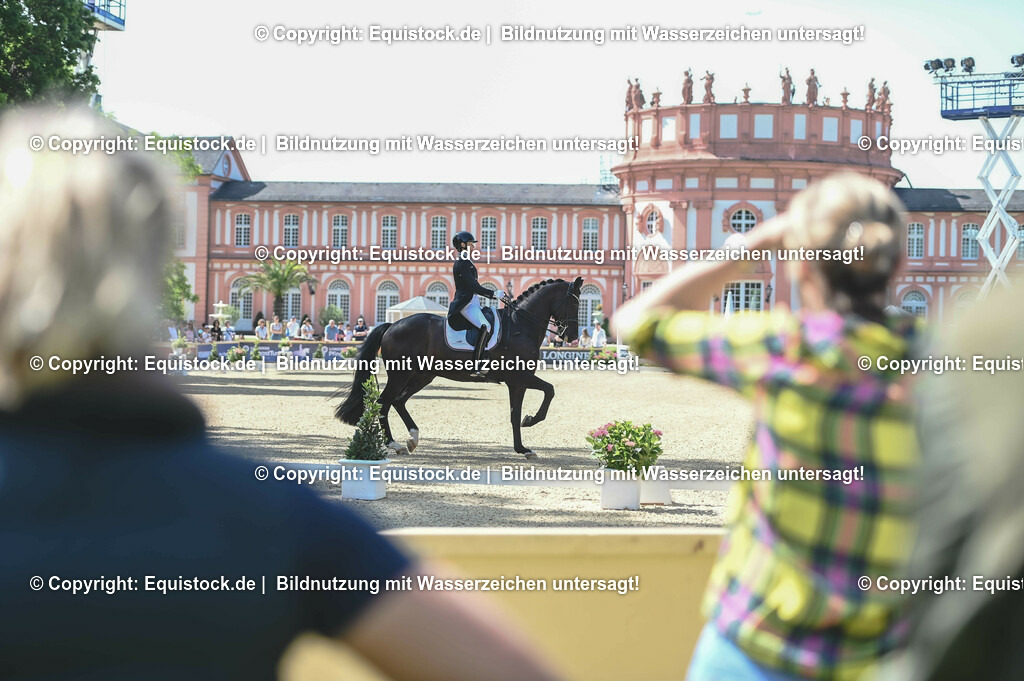 D78_3423 | equistock