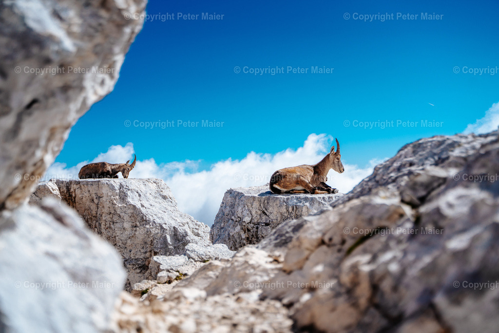 Luca_Vuerich-452 | piet_flosse