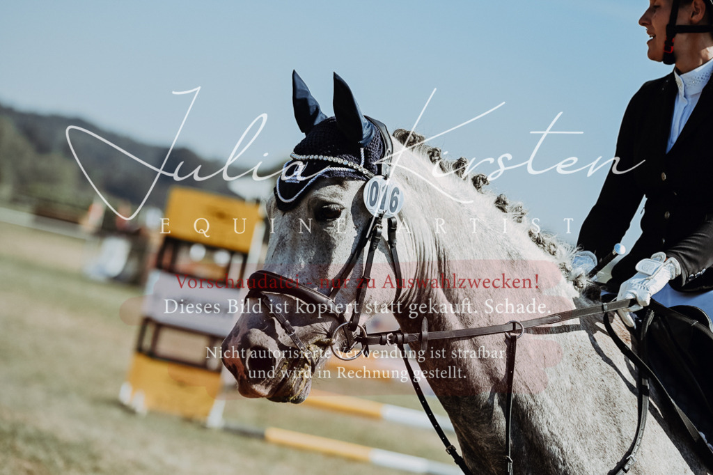 DSC_9480 | Pferde- und Turnierfotografie in Westsachsen. Pferdeportraits, Auftragszeichnungen und intuitive Kunst.