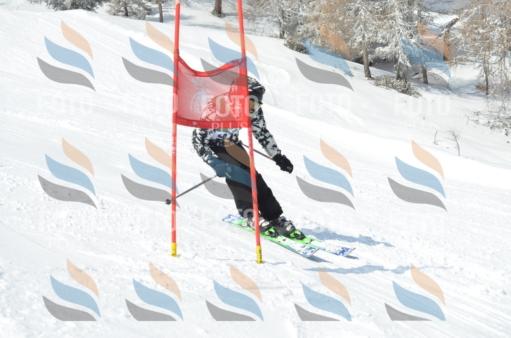 D9103 | holidayphoto