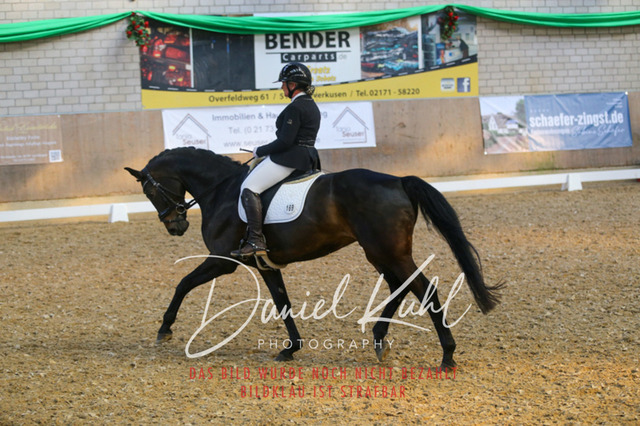 IMG_2636 | Turnierfotos kaufen im Webshop von Daniel Kuhl Photography – entdecke professionelle Reitsportfotos aus Turnieren & Events. Hochwertige Turnierbilder online bestellen & sichern. Jetzt Fotos von Reitsportturnieren kaufen!