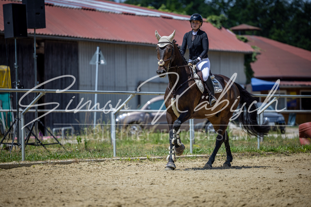 20260704-_3LI8623 | Tierfotografie Pferde, Hunde, Katzen, Haustiere.
Turnierfotografie Reitturniere, Reiten, Springreiten, Dressur in Hanau, dem Main-Kinzig-Kreis und dem Rhein-Main- Gebiet um Frankfurt