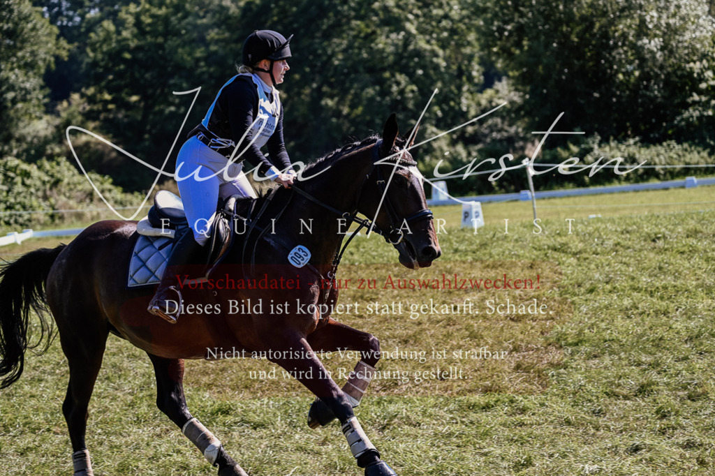 DSC_1871 | Pferde- und Turnierfotografie in Westsachsen. Pferdeportraits, Auftragszeichnungen und intuitive Kunst.