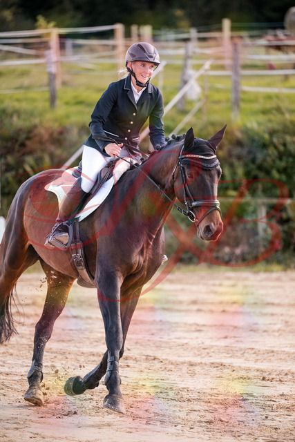 2026_10_03_Siefer-Hof_144107_Z81_13333410 | Professionelle Reitsport-, Turnier- und Eventfotografie von Robert Broda. Galerien mit ausgewählten und bearbeiteten Bildern direkt online ansehen und bestellen.