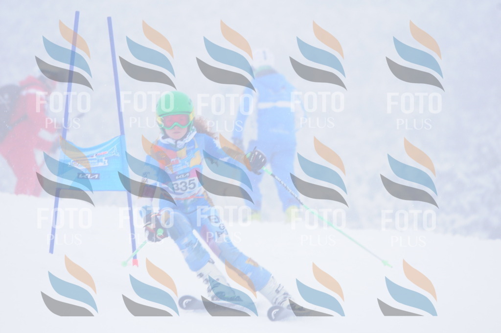 C3587 | holidayphoto