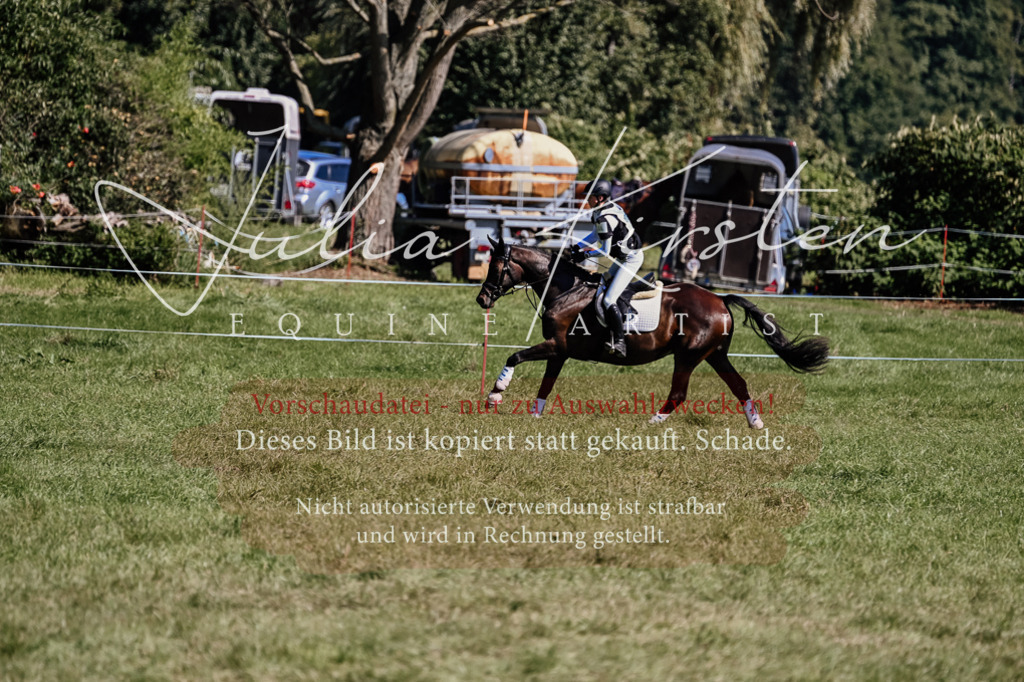 DSC_1438 | Pferde- und Turnierfotografie in Westsachsen. Pferdeportraits, Auftragszeichnungen und intuitive Kunst.