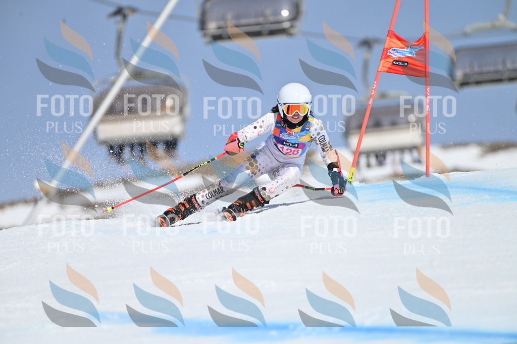 BGV_9943 | holidayphoto