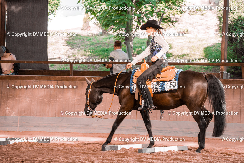 NE300196 | dv-media-shop - Realisiert mit Pictrs.com