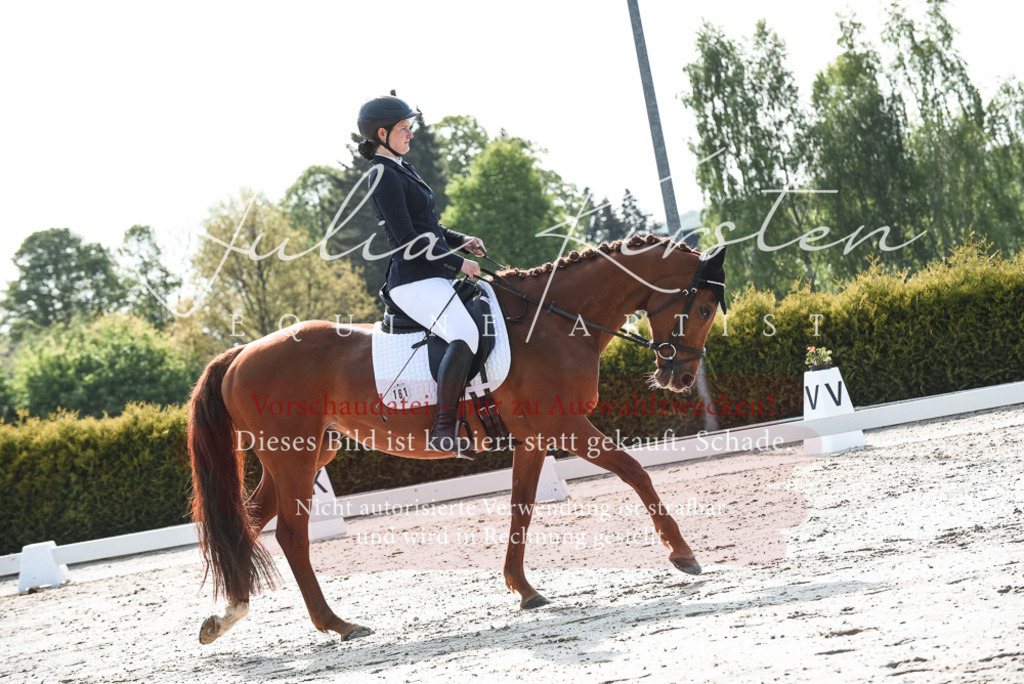 20230518_JK-Röhrsdorf-09-1171 | Pferde- und Turnierfotografie in Westsachsen. Pferdeportraits, Auftragszeichnungen und intuitive Kunst.
