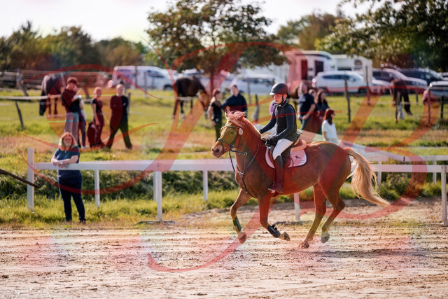 2026_10_03_Siefer-Hof_144701_Z81_23494426 | Professionelle Reitsport-, Turnier- und Eventfotografie von Robert Broda. Galerien mit ausgewählten und bearbeiteten Bildern direkt online ansehen und bestellen.