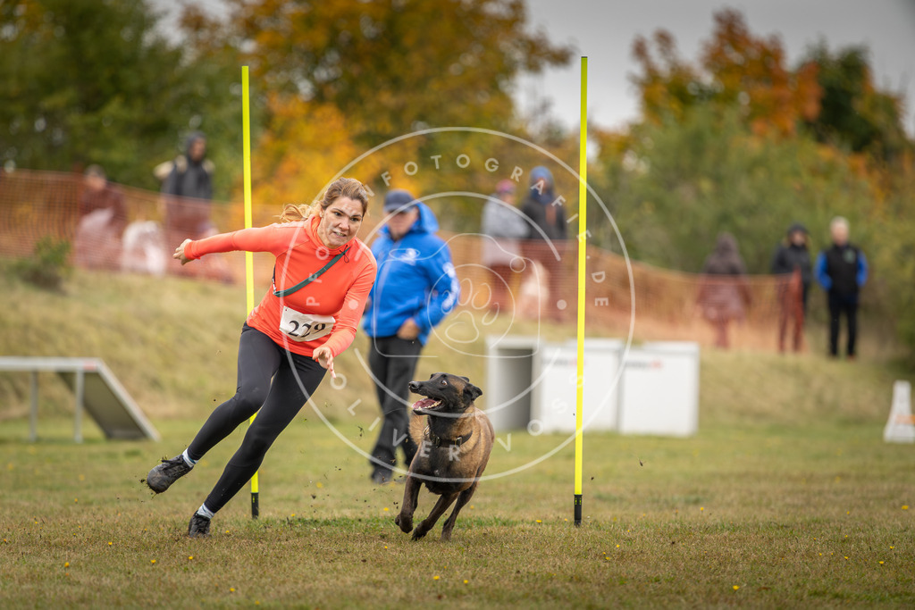 Pfotenfotografie_DV3A4112 | Hundefotografie, Tierfotograf, Pfotenfotografie, Fotoshooting Hund, Hunde Portrait, Hundesport, Hundeportraits, Heideshooting, Hunde, Sportfotograf, Hundefotograf, Turnierhundsport, THS,  - Realisiert mit Pictrs.com