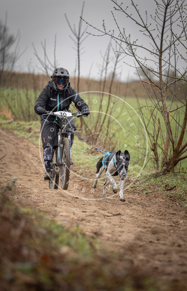 DV3A9096 | Hundefotografie, Tierfotograf, Pfotenfotografie, Fotoshooting Hund, Hunde Portrait, Hundesport, Hundeportraits, Heideshooting, Hunde, Sportfotograf, Hundefotograf, Turnierhundsport, THS,  - Realisiert mit Pictrs.com