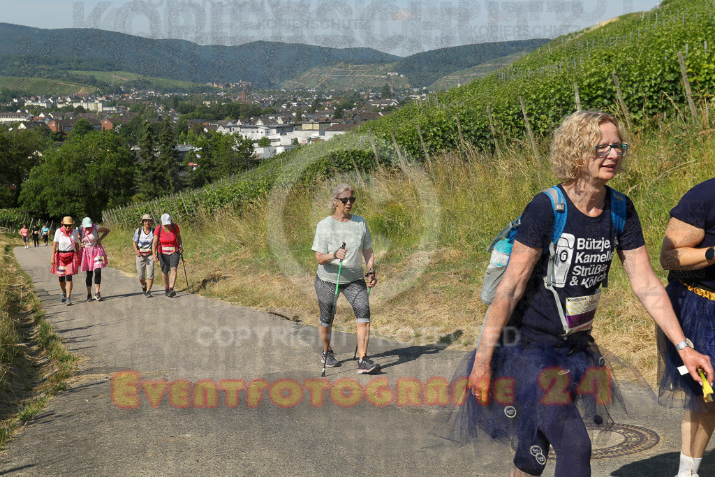 230617_0952_EV9_6783 | Sportfotografie im Rhein-Sieg Kreis, Köln, Bonn, NRW, Rheinland Pfalz, Hessen, etc. Unser Tätigkeitsfeld umfasst den Laufsport vom Volkslauf über den Marathon, Duathlon, Triathon bis zum Ultralauf wie Kölnpfad Ultra oder Schindertrail.