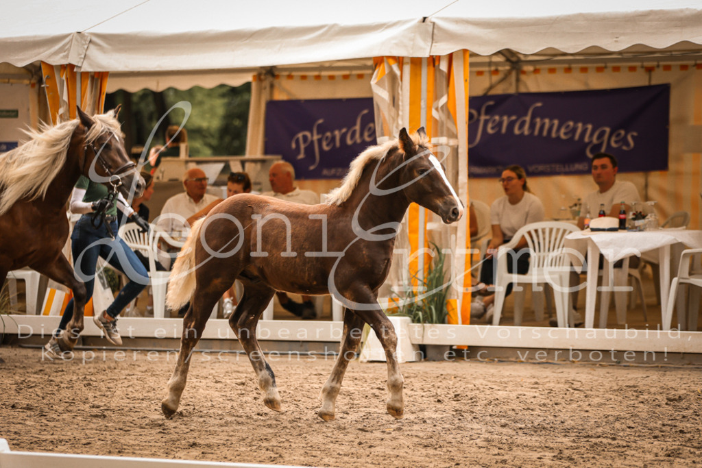 SaHF00109 | Leoni Ertmer Photography - Realisiert mit Pictrs.com