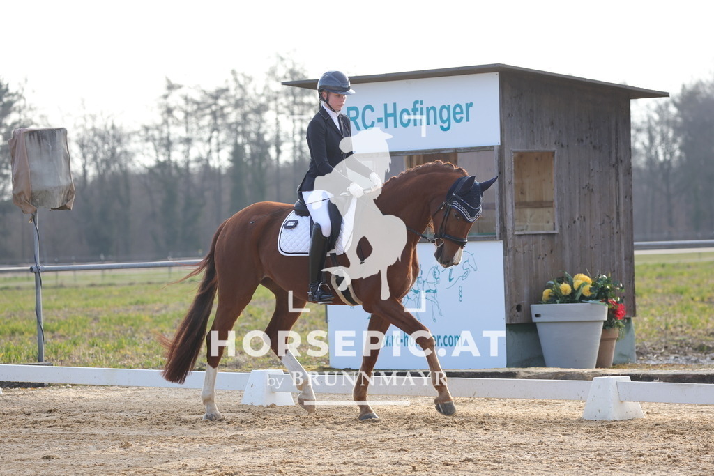 0P6A5931 | Willkommen bei Brunnmayr - Design & Fotografie – Ihrem Spezialisten für Reitturniere und Pferdeveranstaltungen in Oberösterreich, Salzburg und Bayern! Seit über 17 Jahren sind wir leidenschaftlich dabei.