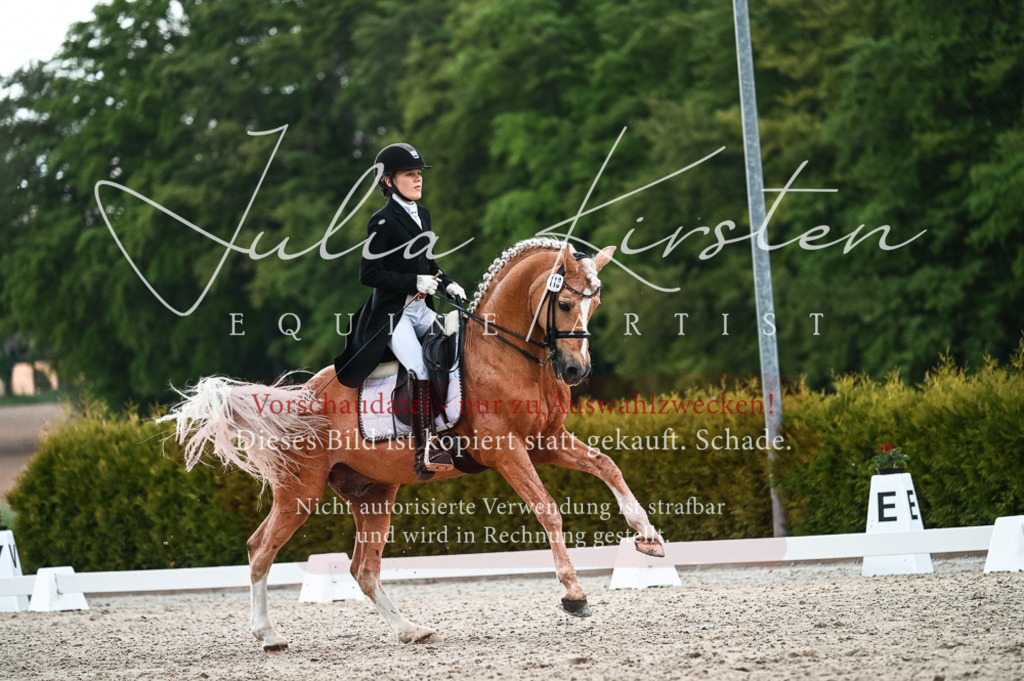 20230514_JK-Röhrsdorf-21-417 | Pferde- und Turnierfotografie in Westsachsen. Pferdeportraits, Auftragszeichnungen und intuitive Kunst.