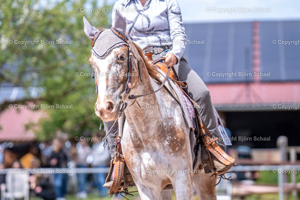 AQS05973 | BS-foto