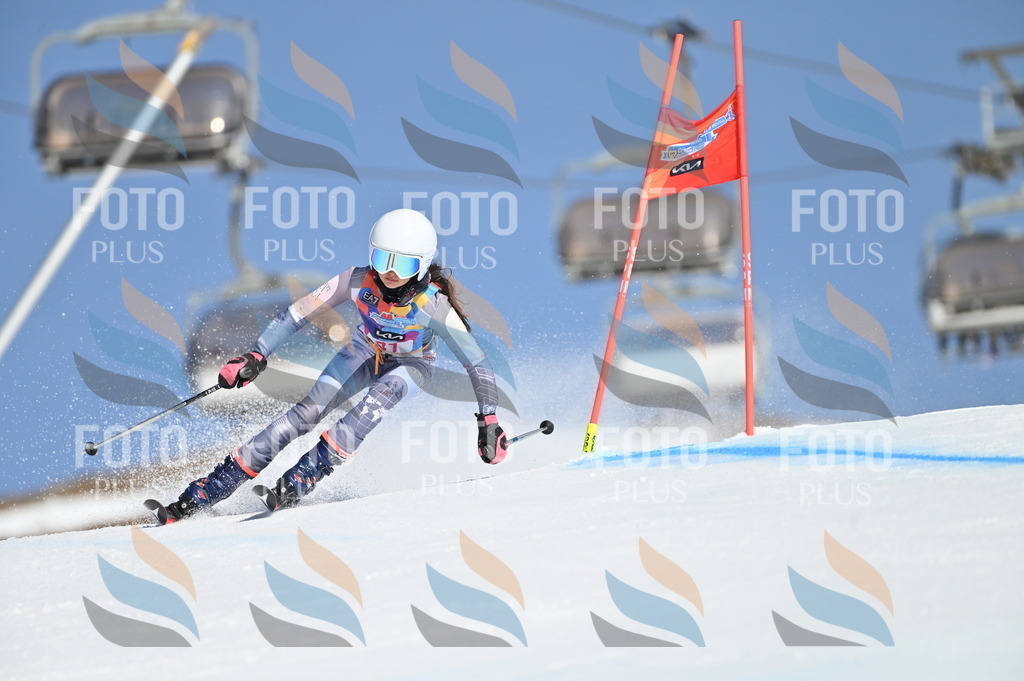 BGV_8145 | holidayphoto