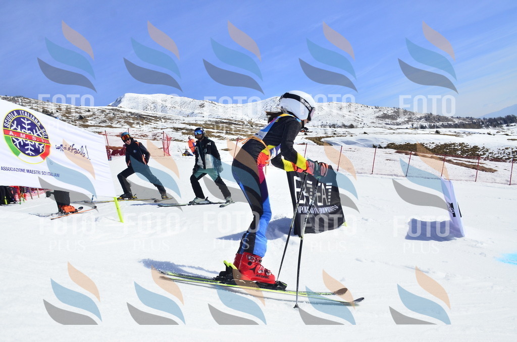 _ELE0559 | holidayphoto