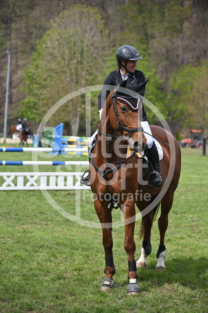 DSC_1917 | sattelsport - Realisiert mit Pictrs.com