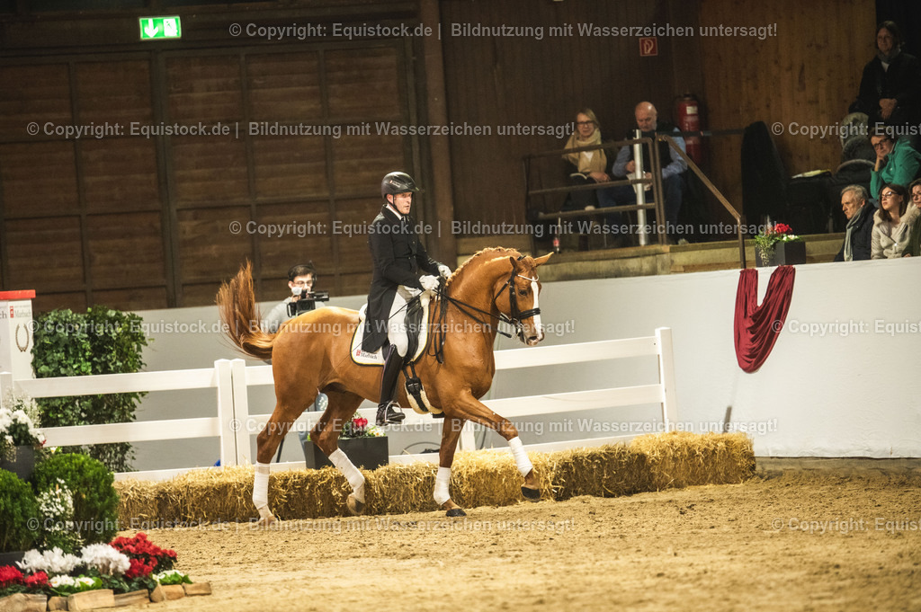 20240302_Hengstvorstellung_Marbach_TOMsPiC_0933-2 | equistock