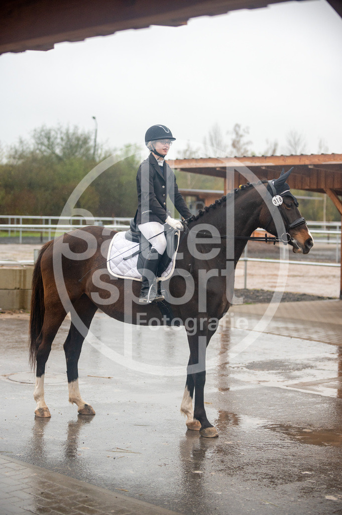 DSC_3947 | sattelsport - Realisiert mit Pictrs.com