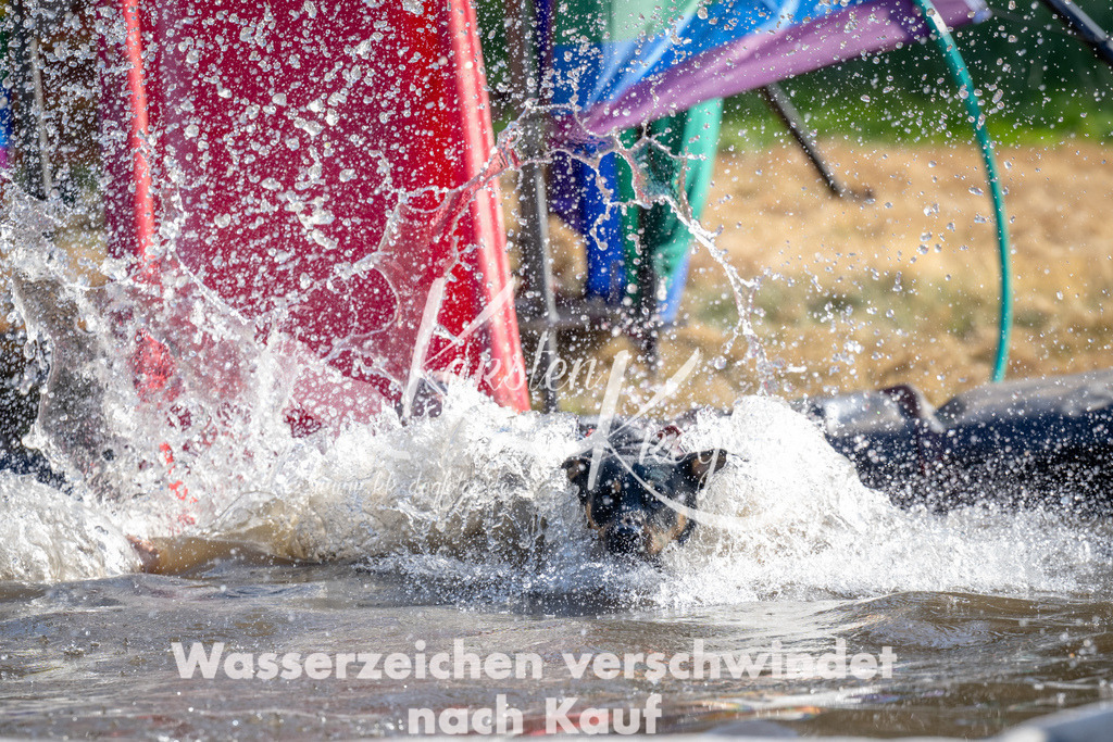 1645_ZZ91219 | kk-dogfotos