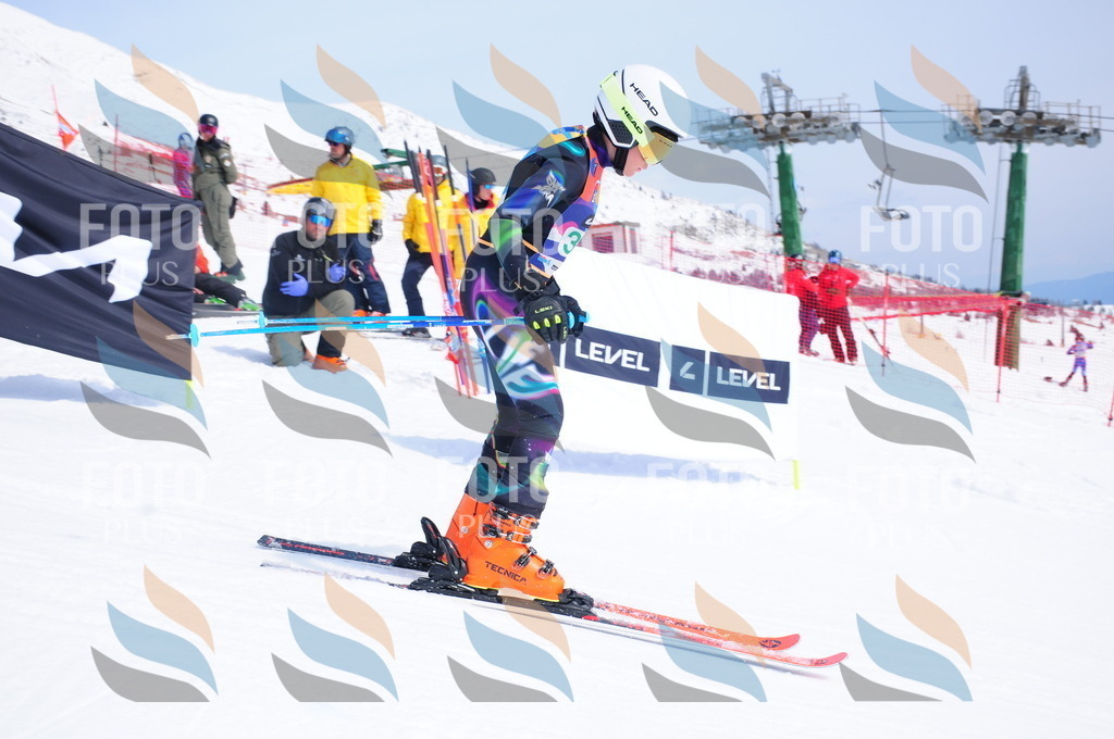 DSC_2933 | holidayphoto