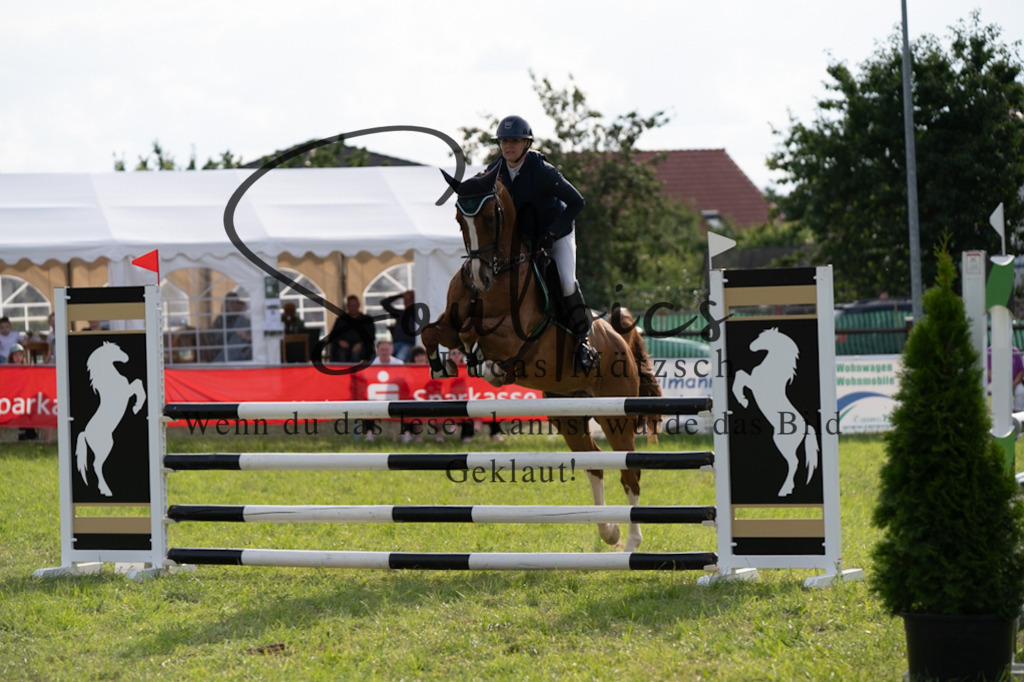 A7V05023 | Pferdefotograf