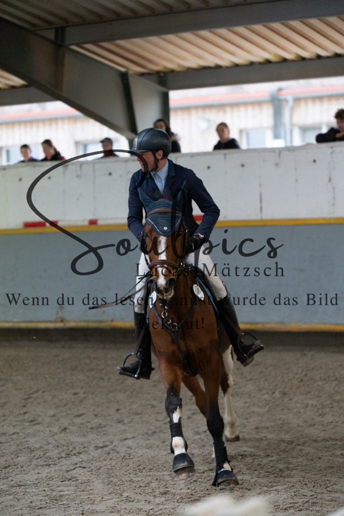 A7V08721 | Pferdefotograf