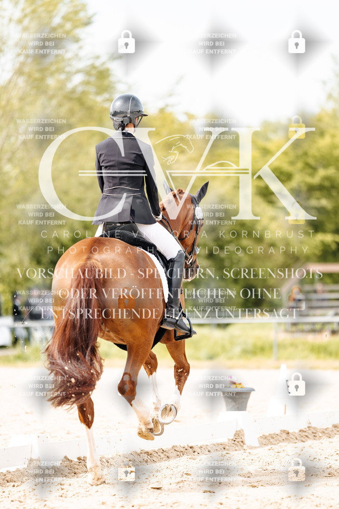 CK901114 | Turnierfotografie Pferdefotografie Trier Rheinland-Pfalz Pferdesport Reitsport Tierfotografie Sportfotografie Pferdevideo Pferdevideografie Equestrianvideography equestrianphotography  - Realisiert mit Pictrs.com
