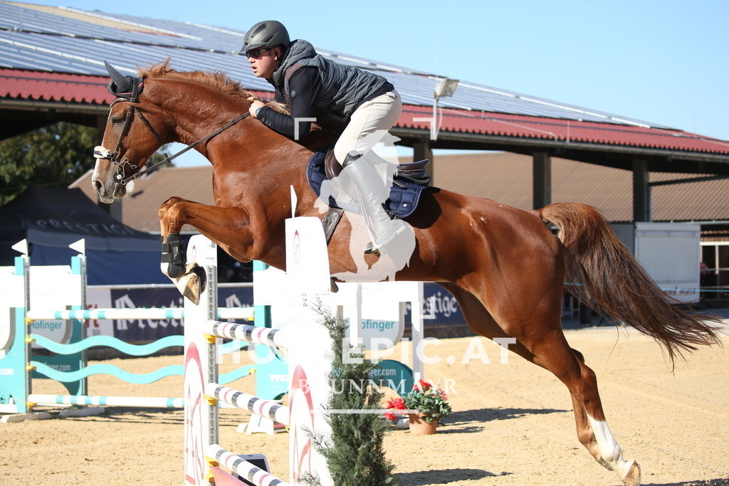 DL2Q3317 | Willkommen bei Brunnmayr - Design & Fotografie – Ihrem Spezialisten für Reitturniere und Pferdeveranstaltungen in Oberösterreich, Salzburg und Bayern! Seit über 17 Jahren sind wir leidenschaftlich dabei.