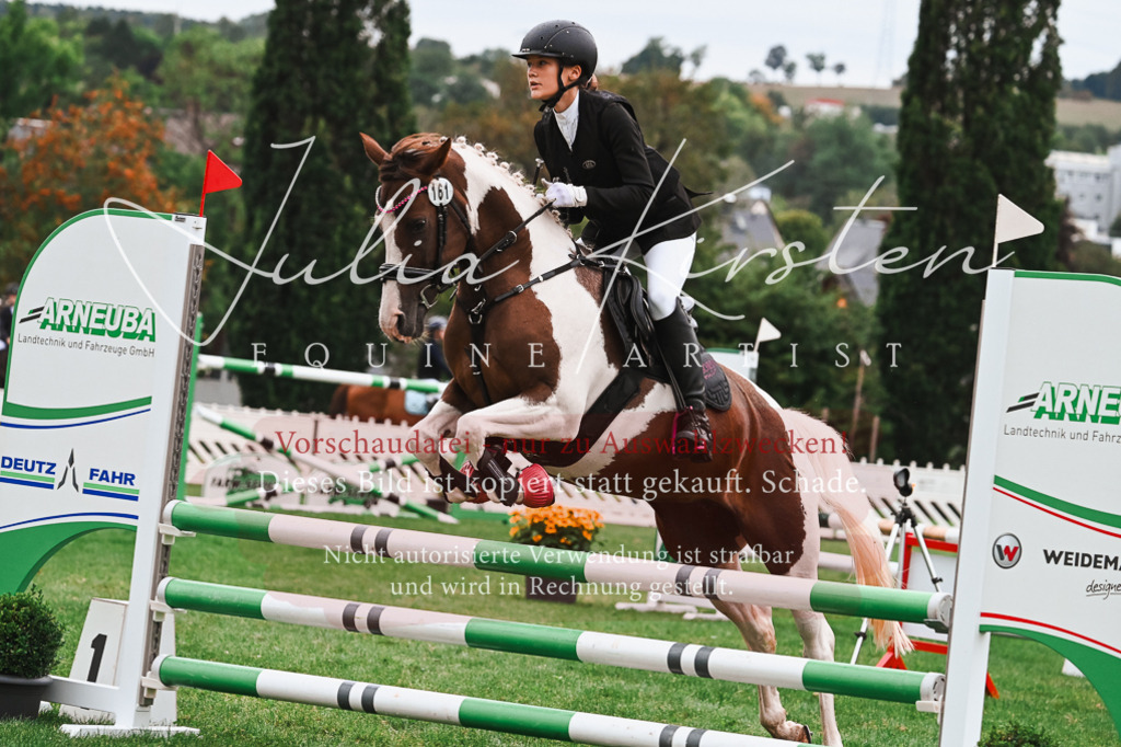 DSC_6254 | Pferde- und Turnierfotografie in Westsachsen. Pferdeportraits, Auftragszeichnungen und intuitive Kunst.