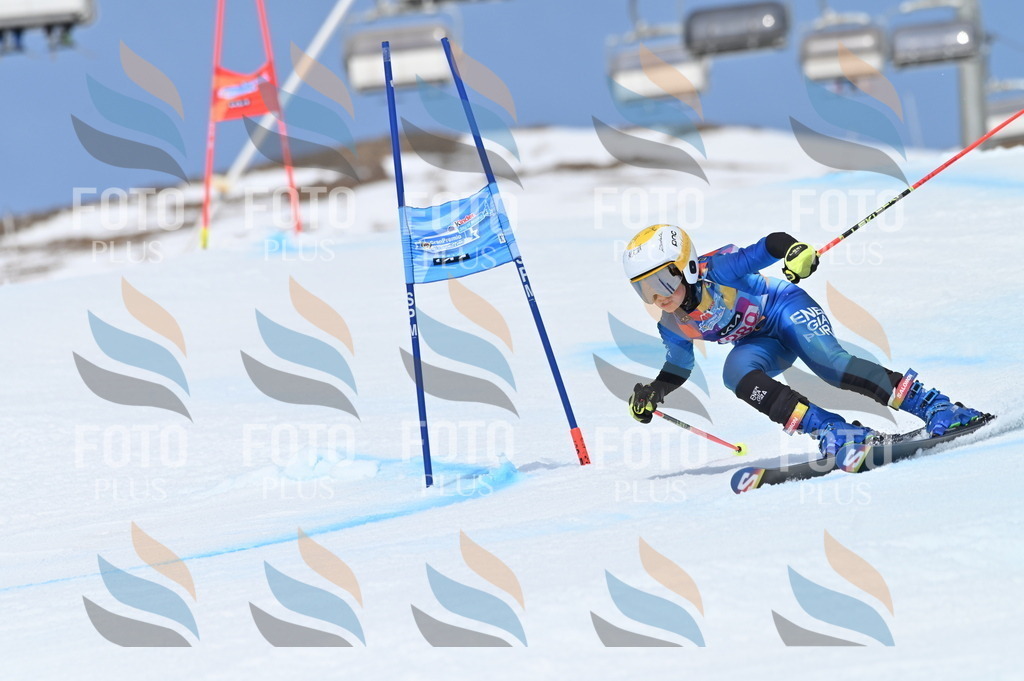 BGV_2409 | holidayphoto