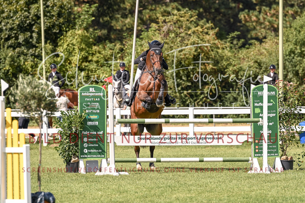 Schugtsche-Düren.2024-09.Springprf.L-207 | Schugtsche Fotografie - Realisiert mit Pictrs.com