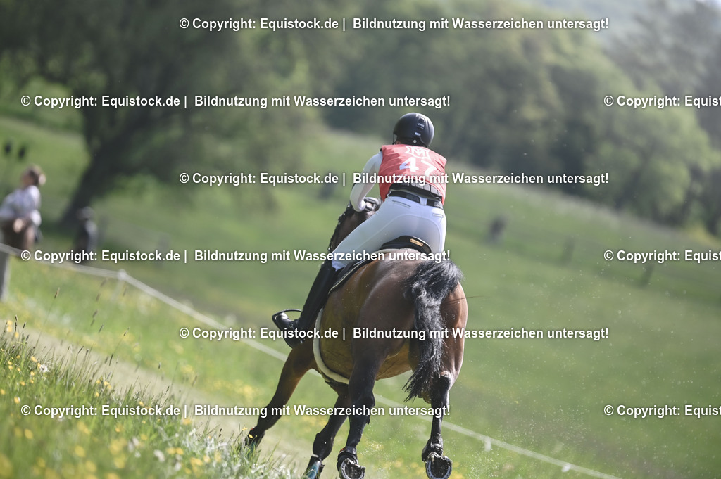 20250517_CCI2_Gelände_1239 | Foto: Thomas Hartig