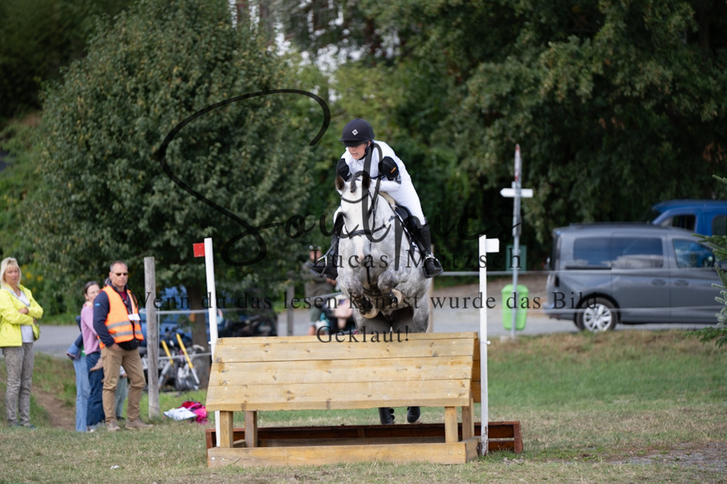 A7V00968 | Pferdefotograf