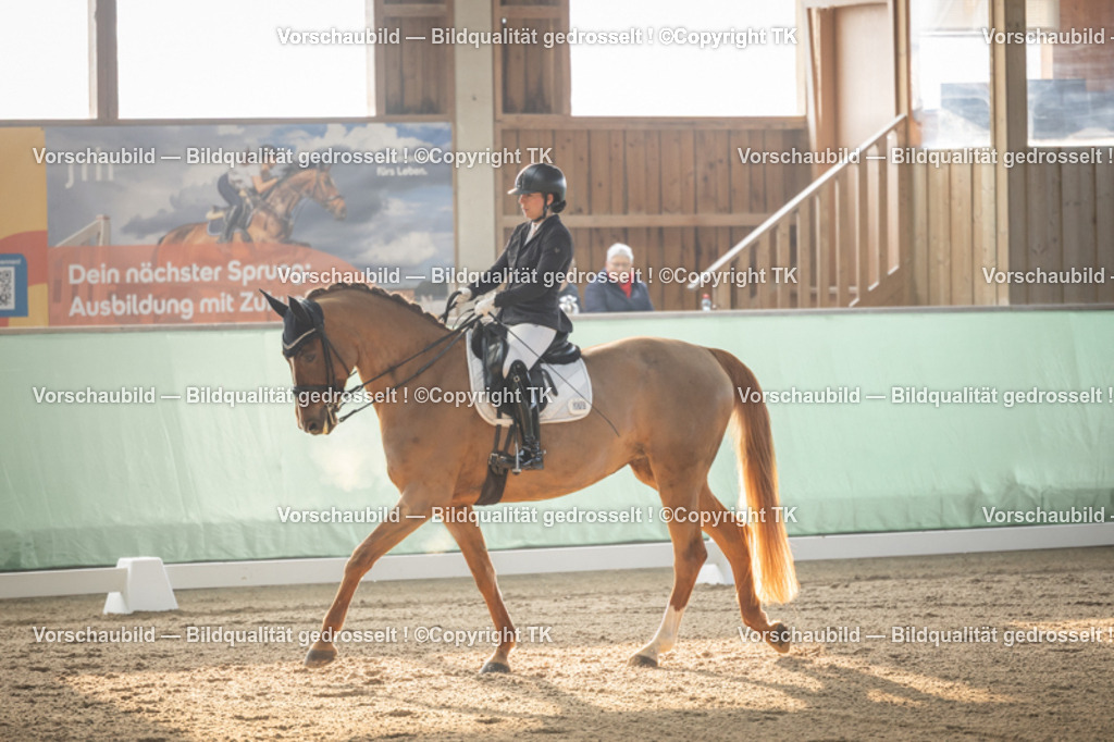 _D5A3980 | Emotionale Pferde- & People-Fotografie rund um Heidelberg, Leimen & Umgebung. Natürliche Fotos von Pferd, Mensch & Familie. Jetzt Termin sichern!