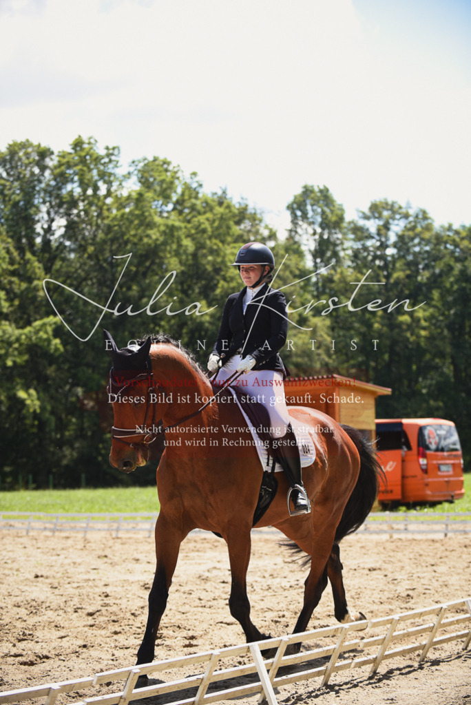 DSC_1324 | Pferde- und Turnierfotografie in Westsachsen. Pferdeportraits, Auftragszeichnungen und intuitive Kunst.
