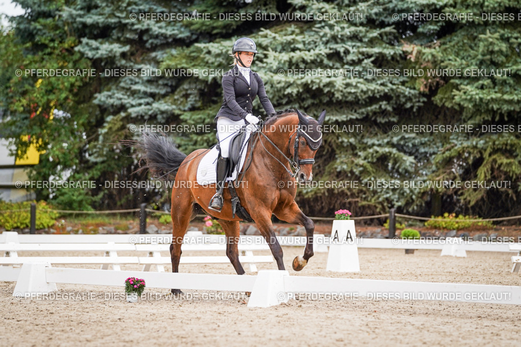 DSC02622 | Pferdegrafie