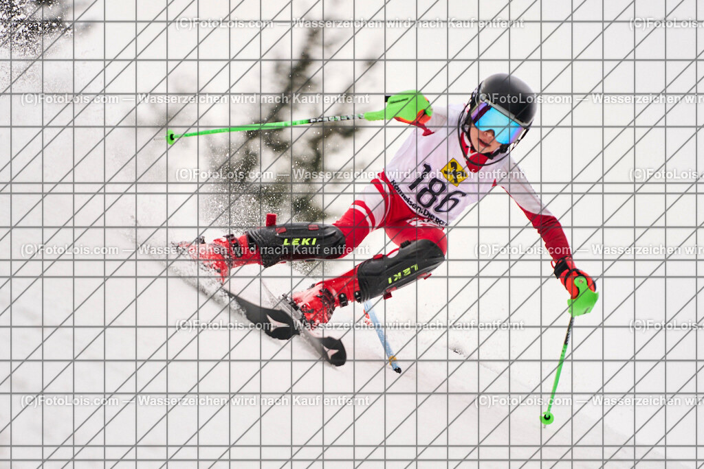 ALP4936_KinderCup-SL_STMK_Strallegg_Stauber Jonas | Raiffeisen KINDERCUP Alpin, SLALOM auf der JogllandStreif in Strallegg am So 23. Februar 2025. Veranstaller: Steirischer Skiverband (5000). Skiunion Strallegg (5197).