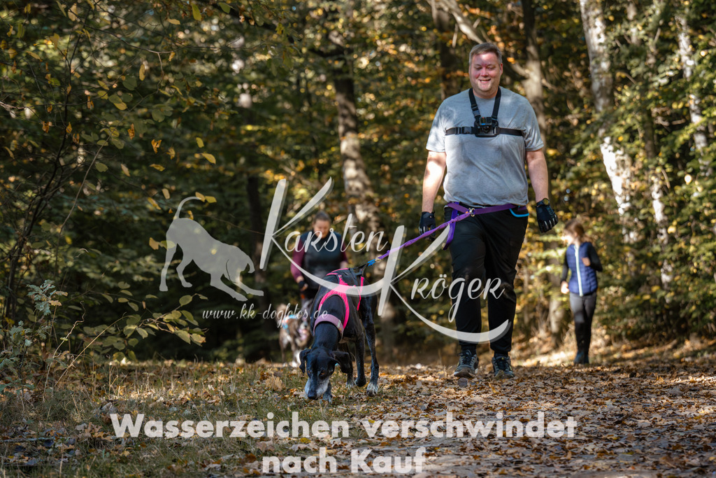 1218_ZZ94735 | kk-dogfotos