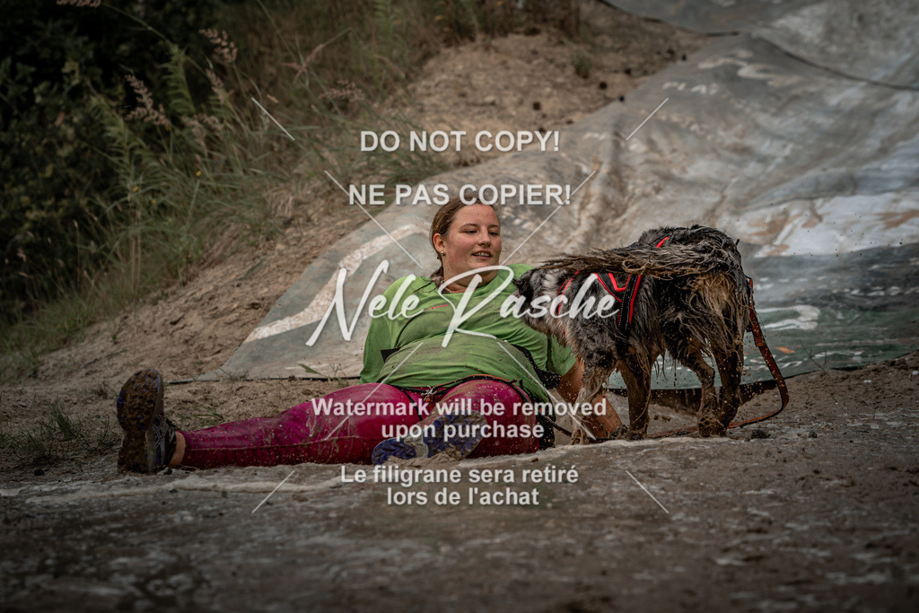 nelerasche_sa1345-1430_497 | nelerasche
