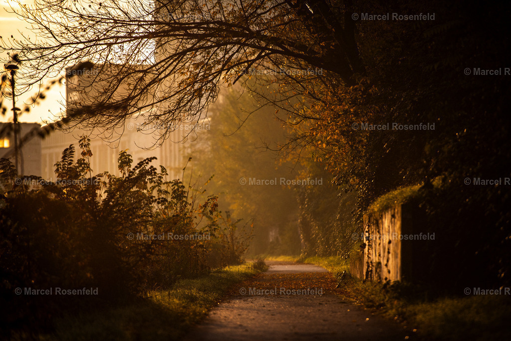 _DSC9577 | foto-rosenfeld