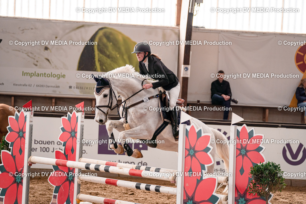 Kranichstein Tag 3-814 | dv-media-shop - Realisiert mit Pictrs.com