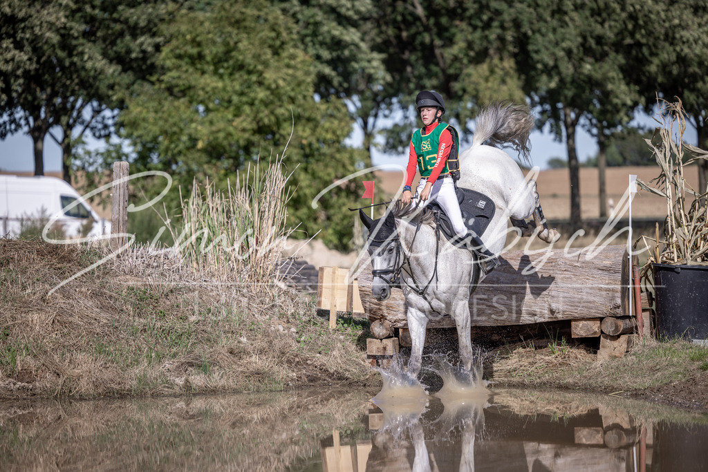 20260906-_3LI5932 | Tierfotografie Pferde, Hunde, Katzen, Haustiere.
Turnierfotografie Reitturniere, Reiten, Springreiten, Dressur in Hanau, dem Main-Kinzig-Kreis und dem Rhein-Main- Gebiet um Frankfurt