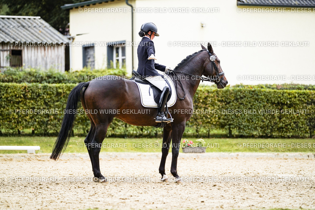 DSC00890 | Pferdegrafie