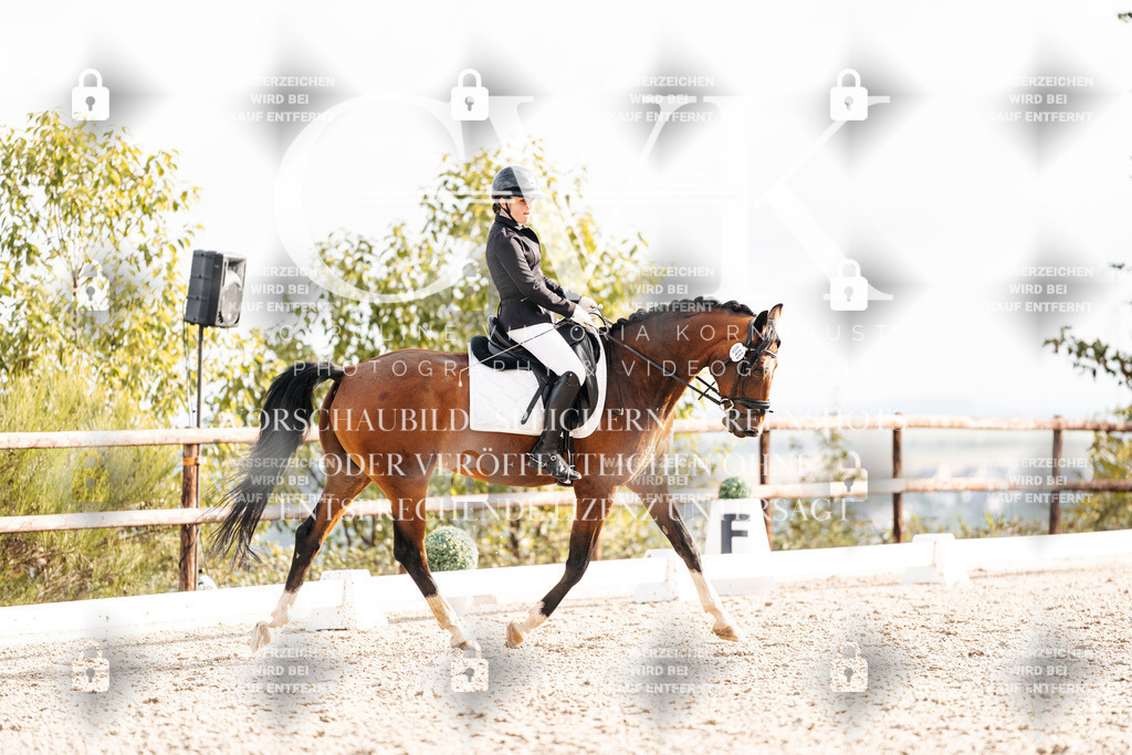 CK900914 | Turnierfotografie Pferdefotografie Trier Rheinland-Pfalz Pferdesport Reitsport Tierfotografie Sportfotografie Pferdevideo Pferdevideografie Equestrianvideography equestrianphotography  - Realisiert mit Pictrs.com