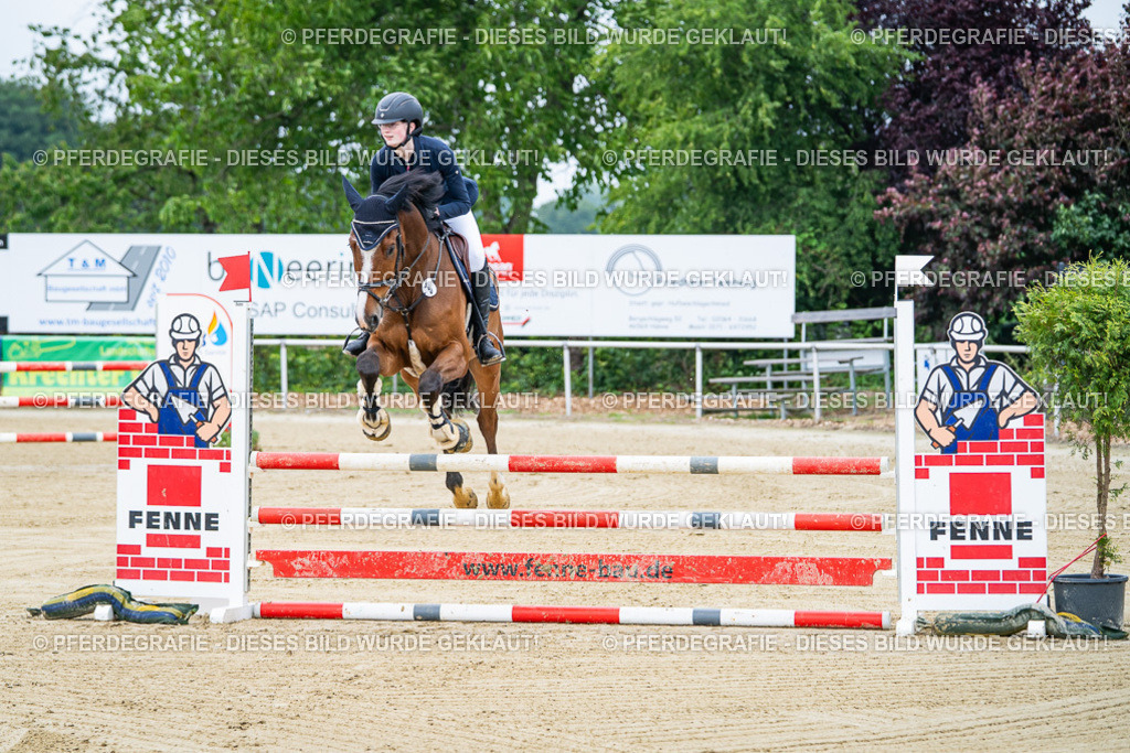 DSC03415 | Pferdegrafie